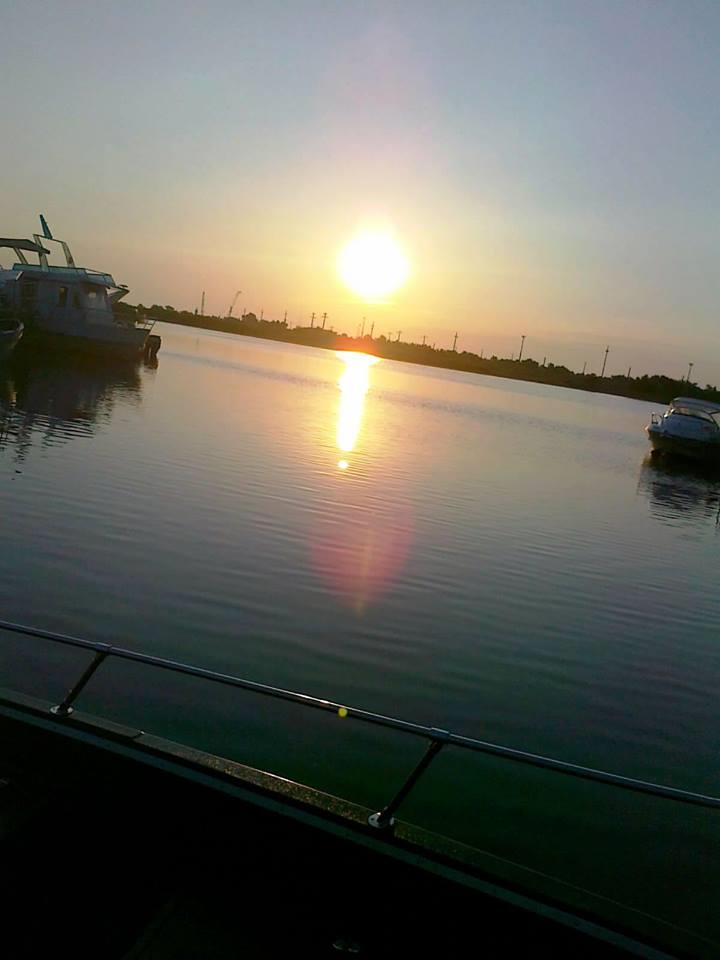 PLIMBARI IN DELTA  - 100286.jpg